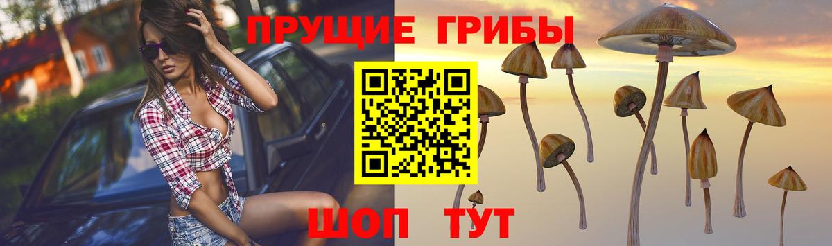 Заинск  Галлюциногенные грибы MAGIC MUSHROOMS  продажа наркотиков  Вход с VPN 